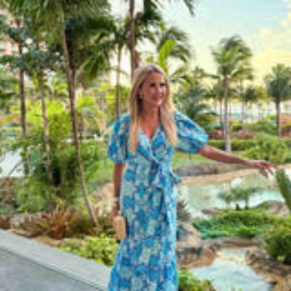 Avara Adeline Dress Large Side Zipper Blue and White Large NWT - Picture 2 of 2